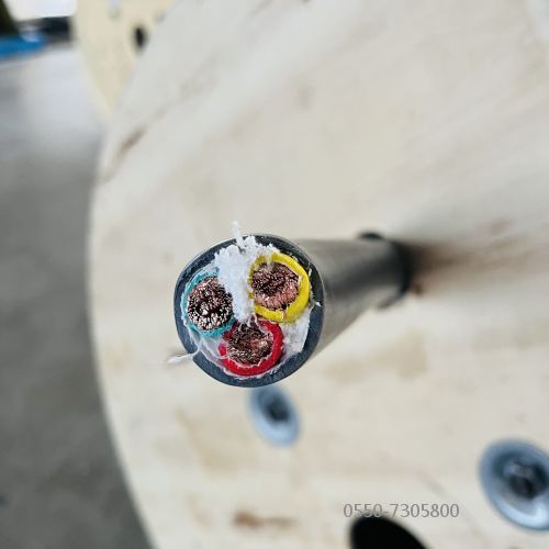 特种电缆.312.jpg 特种电缆.312.jpg