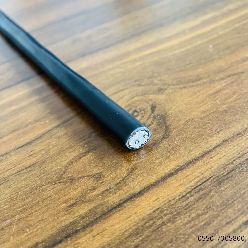 IMG_1242(1).jpg IMG_1242(1).jpg