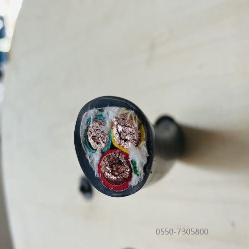 特种电缆.308.jpg 特种电缆.308.jpg