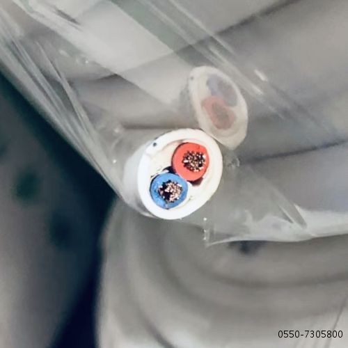 IMG_6533.jpg IMG_6533.jpg