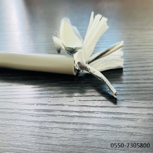 特种电缆厂家64.jpg 特种电缆厂家64.jpg