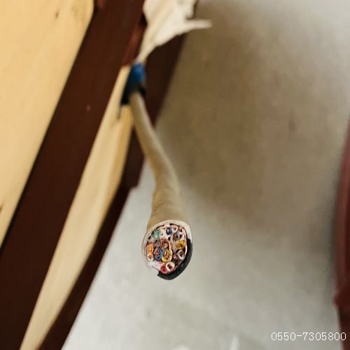 特种电缆厂家113.jpg 特种电缆厂家113.jpg