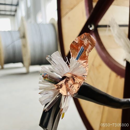 特种电缆厂家112.jpg 特种电缆厂家112.jpg