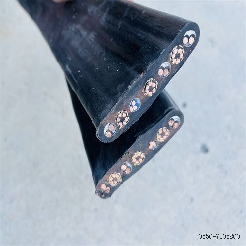 特种电缆厂家310.jpg 特种电缆厂家310.jpg