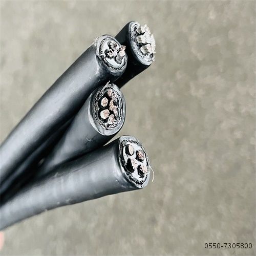 特种电缆厂家27.jpg 特种电缆厂家27.jpg