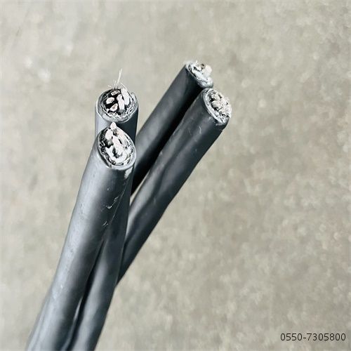 特种电缆厂家28.jpg 特种电缆厂家28.jpg