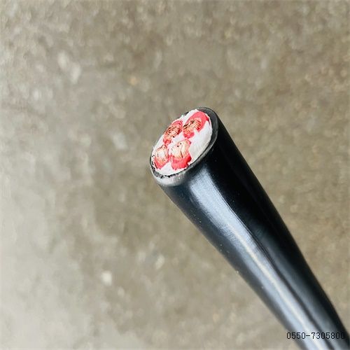 特种电缆厂家100.jpg 特种电缆厂家100.jpg