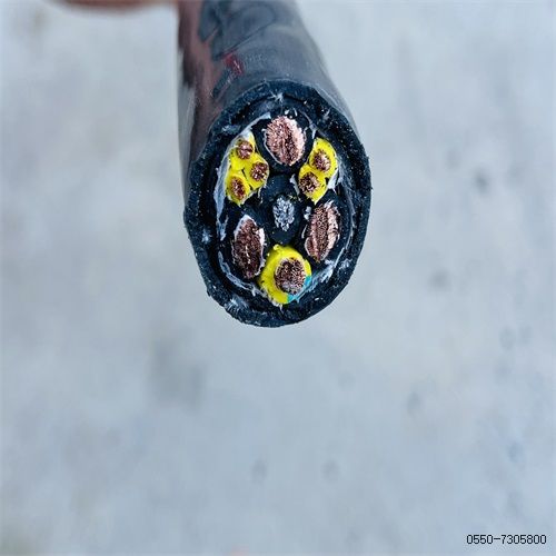 特种电缆厂家227.jpg 特种电缆厂家227.jpg