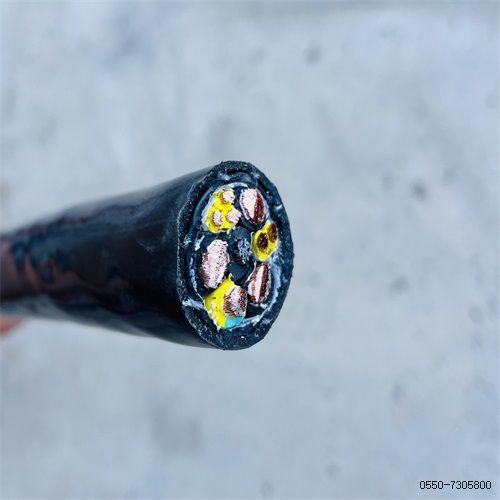 特种电缆厂家230.jpg 特种电缆厂家230.jpg