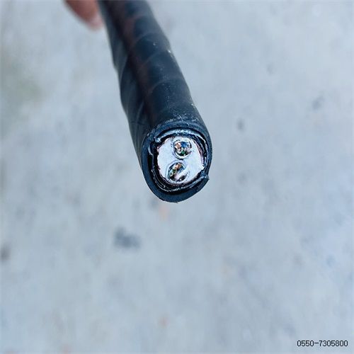 特种电缆厂家207.jpg 特种电缆厂家207.jpg