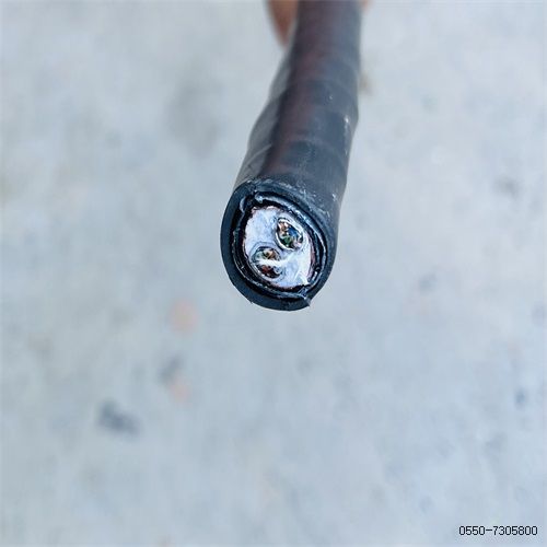 特种电缆厂家208.jpg 特种电缆厂家208.jpg