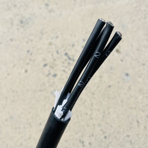 IMG_4413.JPG IMG_4413.JPG