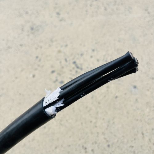 IMG_4414.JPG IMG_4414.JPG