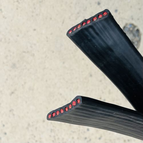 IMG_2443.jpg IMG_2443.jpg