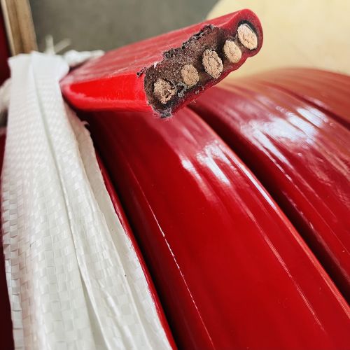 IMG_2344.jpg IMG_2344.jpg