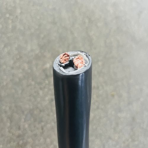 IMG_5375.jpg IMG_5375.jpg