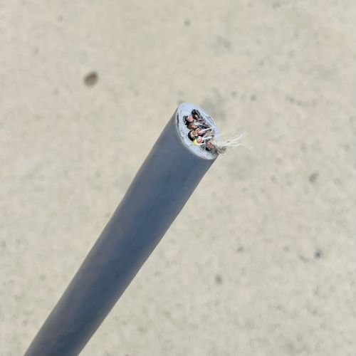 IMG_4451.JPG IMG_4451.JPG