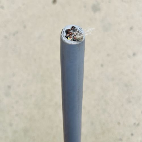 IMG_4455.JPG IMG_4455.JPG