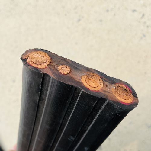 IMG_1779.jpg IMG_1779.jpg