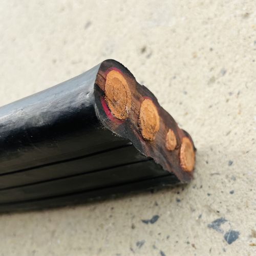 IMG_1780.jpg IMG_1780.jpg