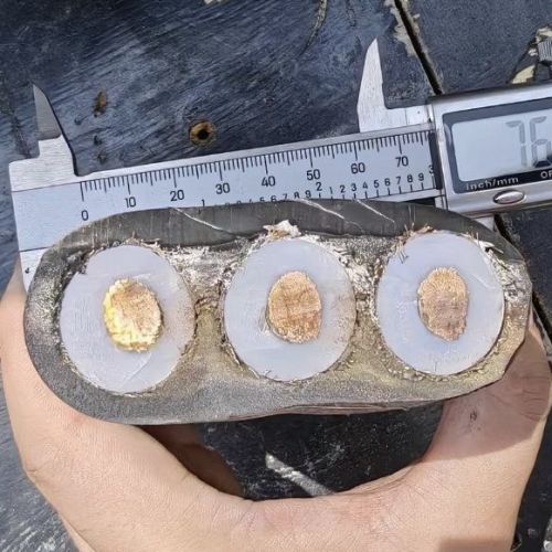 IMG_6353.jpg IMG_6353.jpg