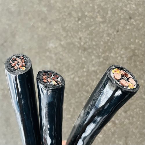 IMG_8551.jpg IMG_8551.jpg