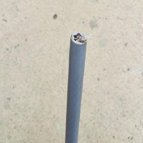 IMG_4456.JPG IMG_4456.JPG