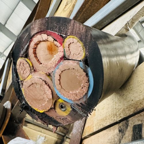 IMG_1910.jpg IMG_1910.jpg