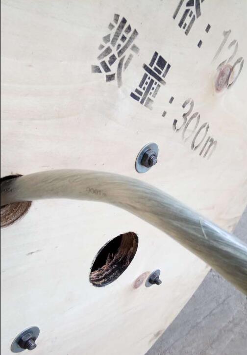 亚洲国产熟妇无码日韩