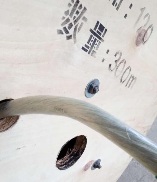 亚洲国产熟妇无码日韩