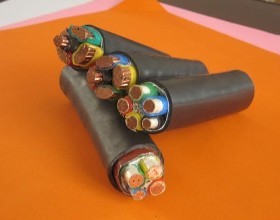 亚洲国产熟妇无码日韩