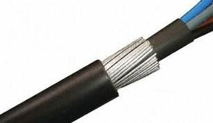 亚洲国产熟妇无码日韩