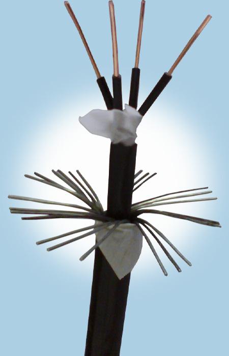 亚洲国产熟妇无码日韩