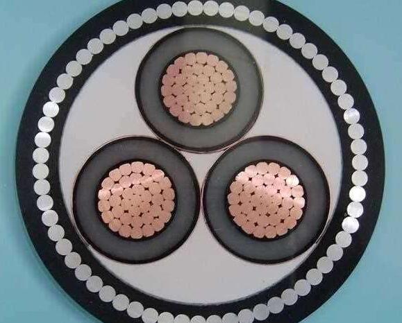 亚洲国产熟妇无码日韩