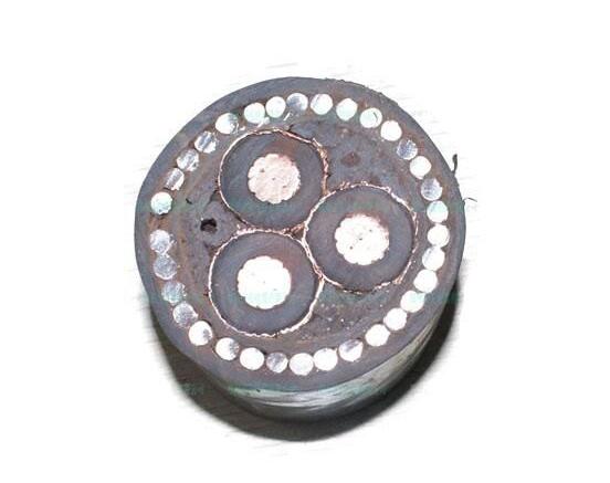 亚洲国产熟妇无码日韩