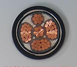 亚洲国产熟妇无码日韩