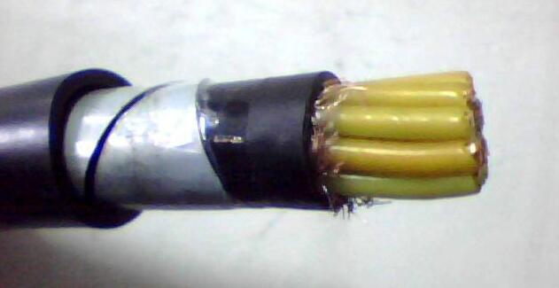 亚洲国产熟妇无码日韩