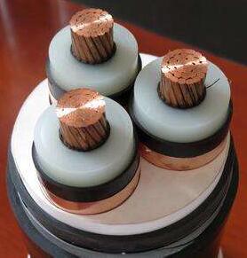 亚洲国产熟妇无码日韩