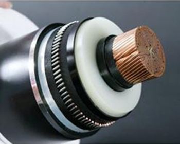 亚洲国产熟妇无码日韩