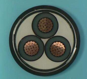 亚洲国产熟妇无码日韩