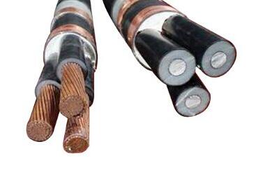 亚洲国产熟妇无码日韩