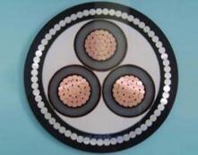 亚洲国产熟妇无码日韩