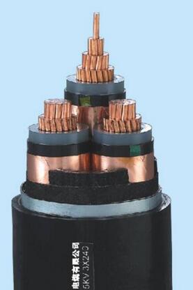 亚洲国产熟妇无码日韩