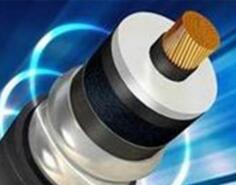 亚洲国产熟妇无码日韩