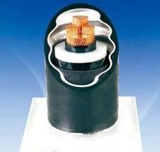 亚洲国产熟妇无码日韩