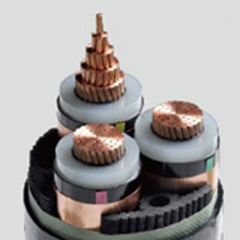 亚洲国产熟妇无码日韩