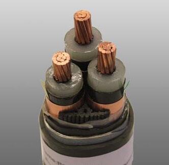 亚洲国产熟妇无码日韩