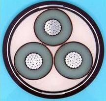 亚洲国产熟妇无码日韩