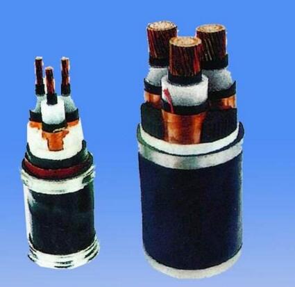 亚洲国产熟妇无码日韩