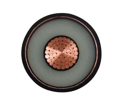 亚洲国产熟妇无码日韩